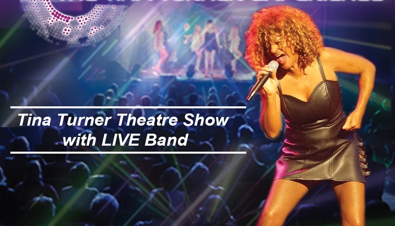 The Tina Turner Experience Show